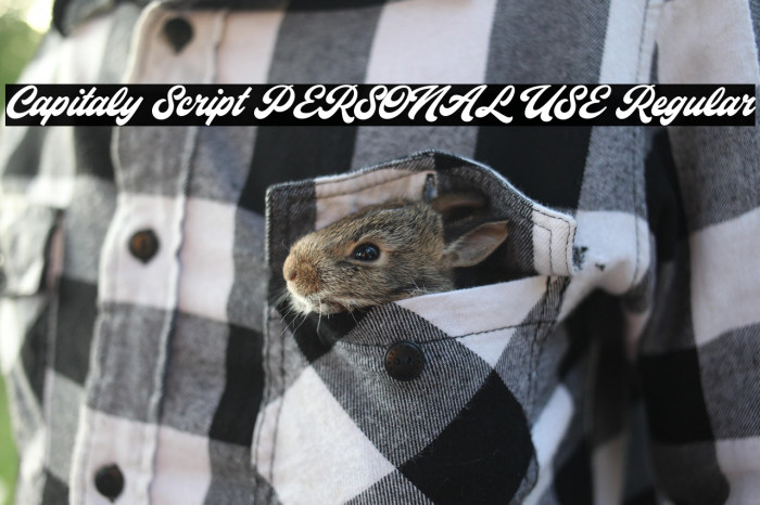 Capitaly Script PERSONAL USE Regular Example 3