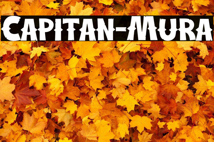 Capitan-Mura Example 1