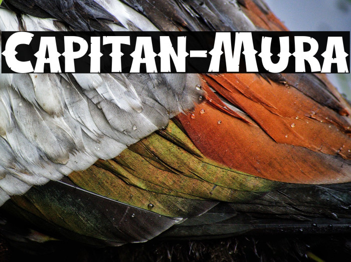 Capitan-Mura Example 3