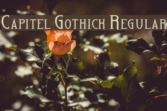 Capitel Gothick Regular Font examples