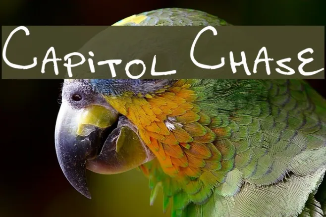 Capitol Chase Example 1