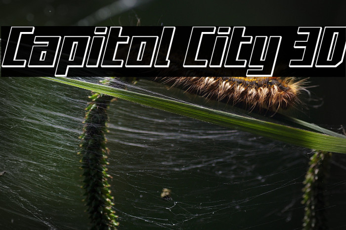 Capitol City 3D Example 1