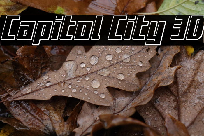 Capitol City 3D Example 3