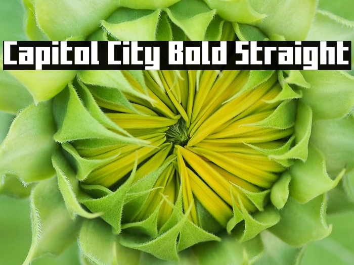 Capitol City Bold Straight Example 3
