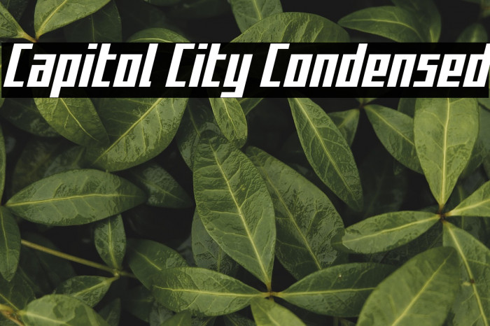 Capitol City Condensed Example 2