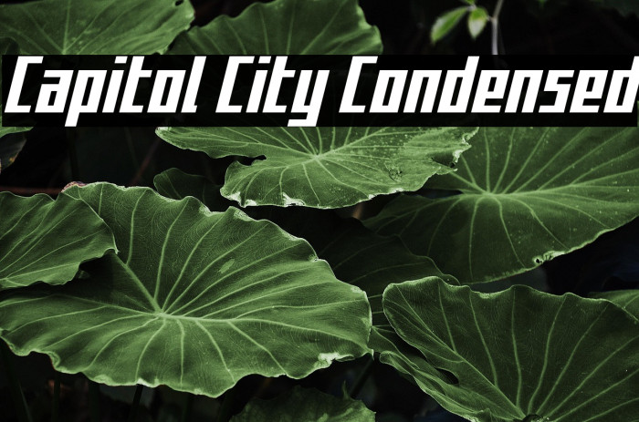 Capitol City Condensed Example 3