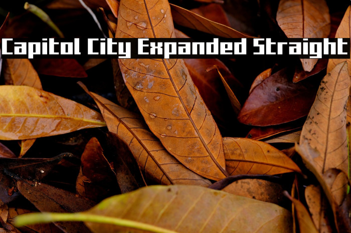 Capitol City Expanded Straight Example 3