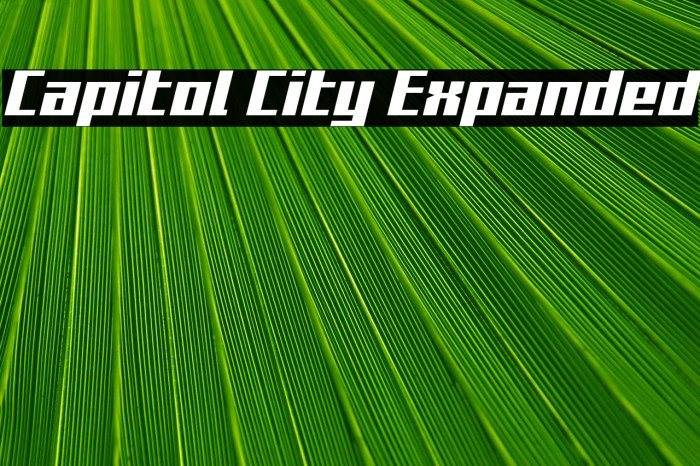 Capitol City Expanded Example 2