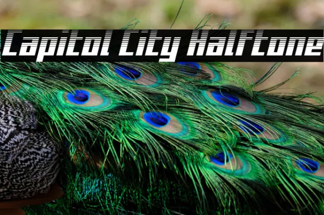 Capitol City Halftone Example 3
