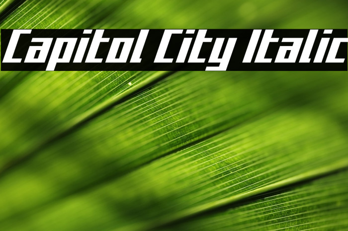 Capitol City Italic Example 2