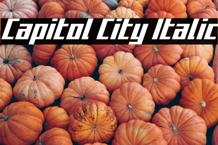 Capitol City Italic Example 3
