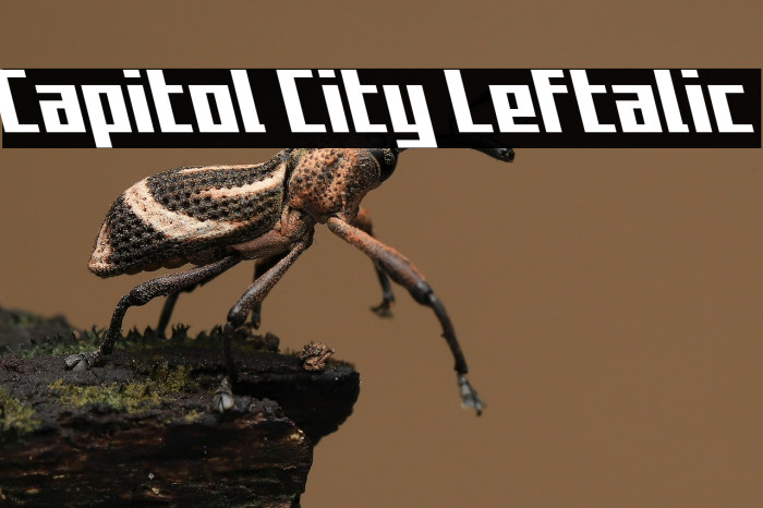 Capitol City Leftalic Example 1
