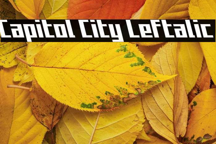 Capitol City Leftalic Example 3