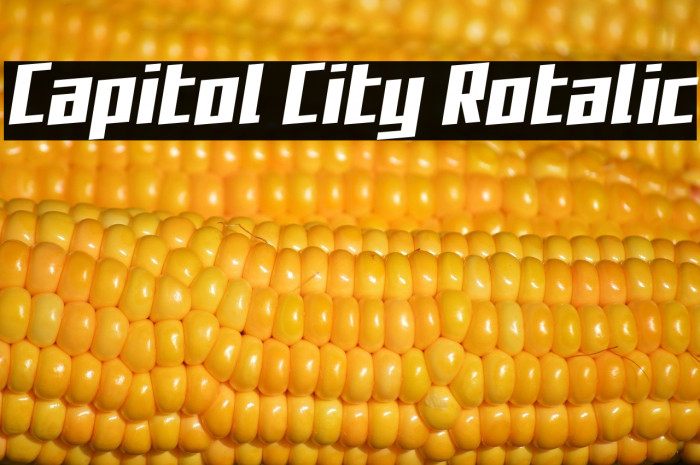 Capitol City Rotalic Example 1