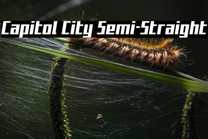 Capitol City Semi-Straight Example 1