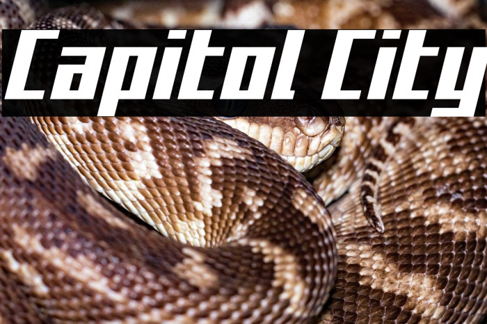 Capitol City Example 1