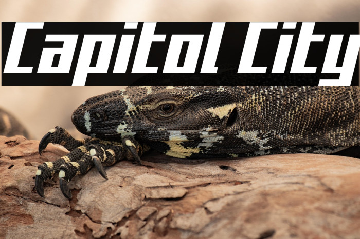 Capitol City Example 2