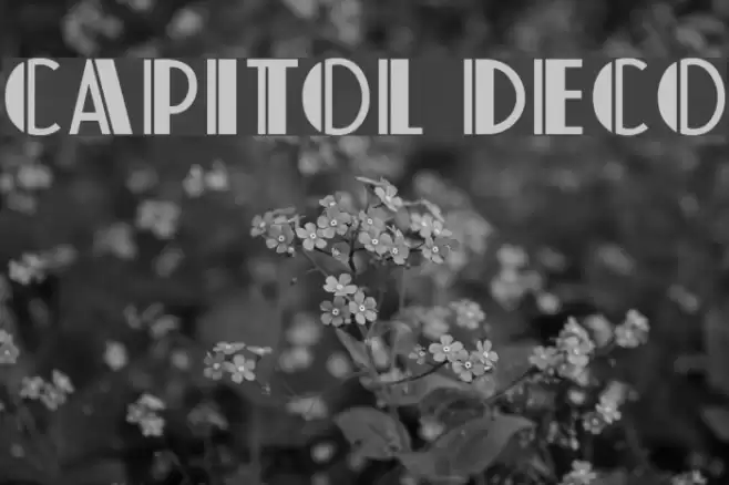 Capitol Deco Font examples