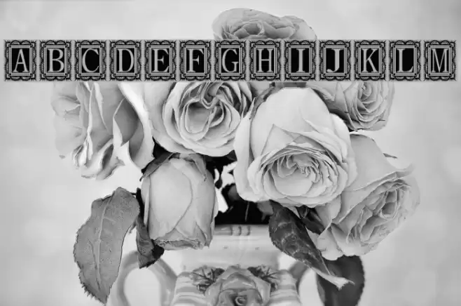 Capitular Moldurada Font examples