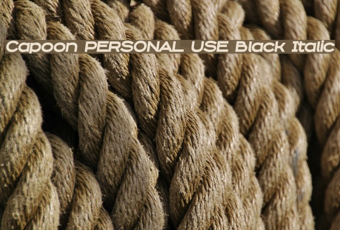Capoon PERSONAL USE Black Italic Example 2