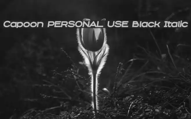 Capoon PERSONAL USE Black Italic Font examples