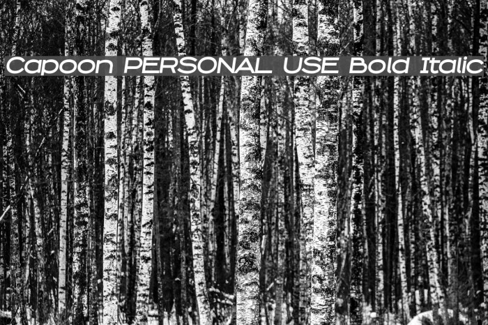 Capoon PERSONAL USE Bold Italic Font examples