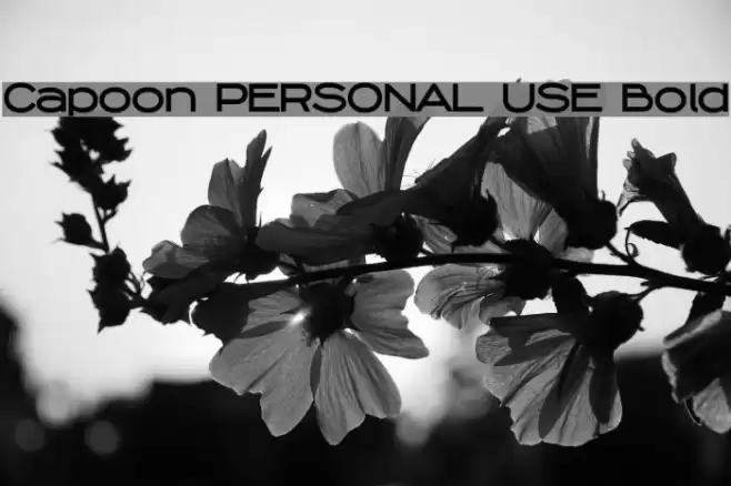 Capoon PERSONAL USE Bold Font examples