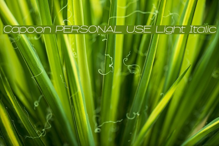 Capoon PERSONAL USE Light Italic Font examples