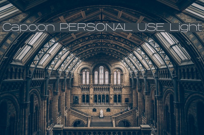 Capoon PERSONAL USE Light Font examples