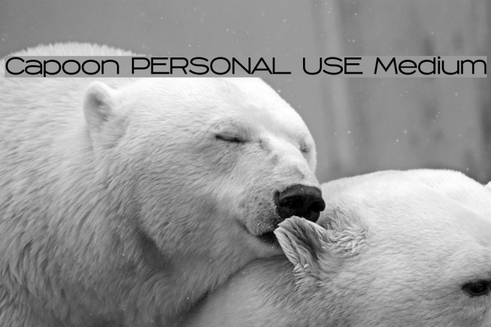 Capoon PERSONAL USE Medium Font examples