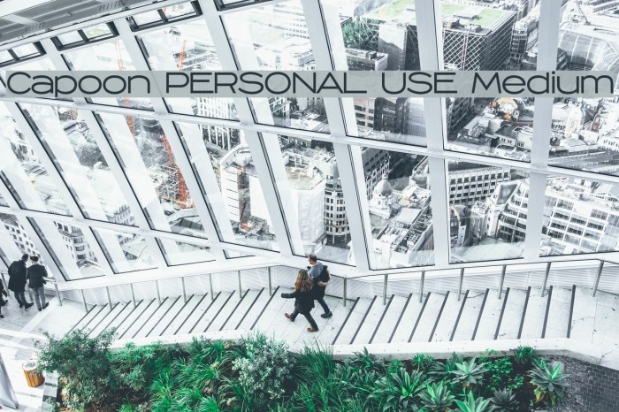 Capoon PERSONAL USE Medium Font examples