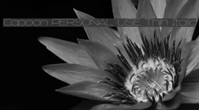 Capoon PERSONAL USE Thin Italic Font examples