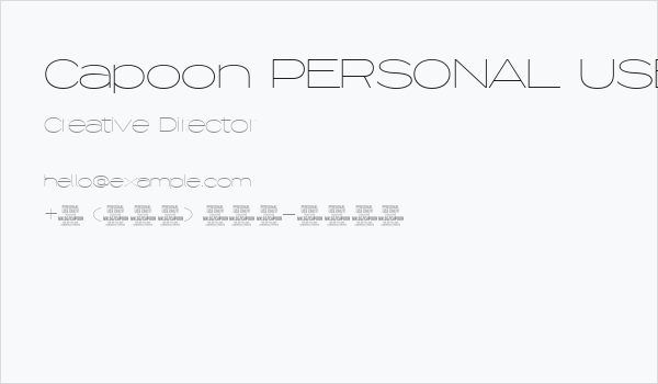 Capoon PERSONAL USE Thin Business Card
