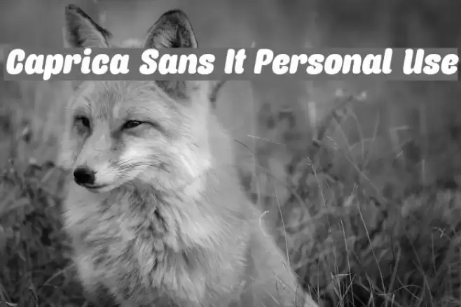 Caprica Sans It Personal Use Font examples