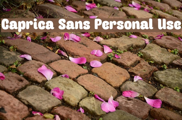 Caprica Sans Personal Use Font examples