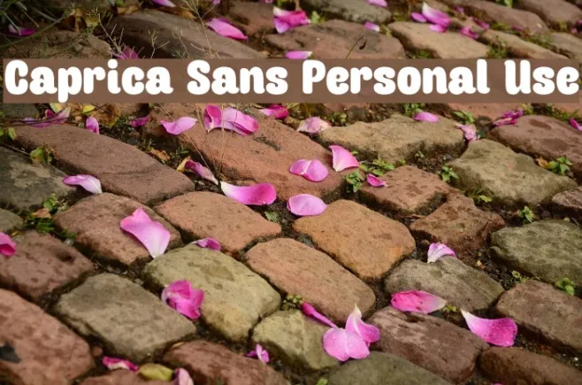 Caprica Sans Personal Use Example 2