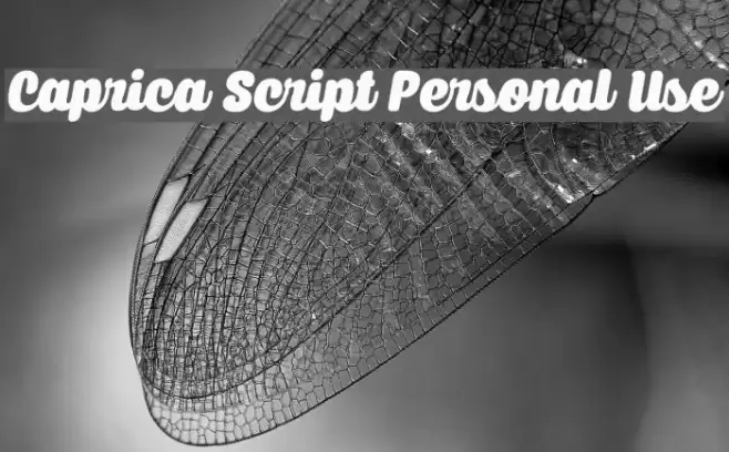 Caprica Script Personal Use Font examples