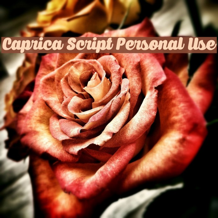 Caprica Script Personal Use Font examples