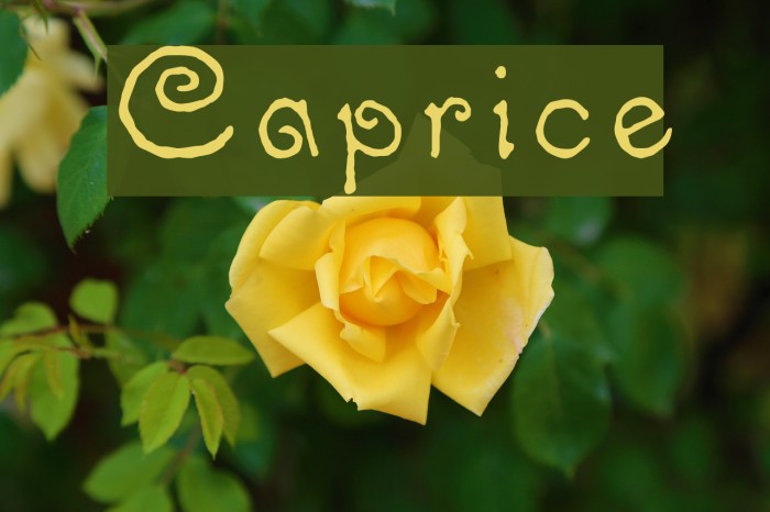Caprice Font examples