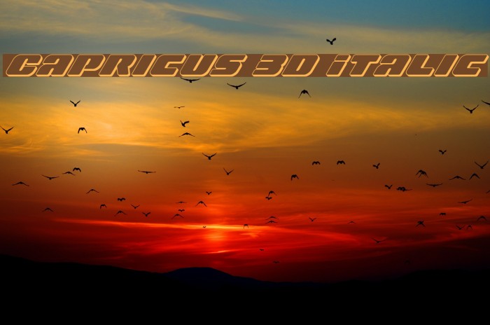 Capricus 3D Italic Font examples