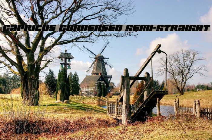 Capricus Condensed Semi-Straight Example 3