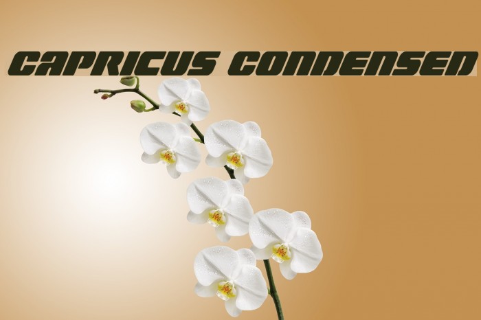 Capricus Condensed Font examples