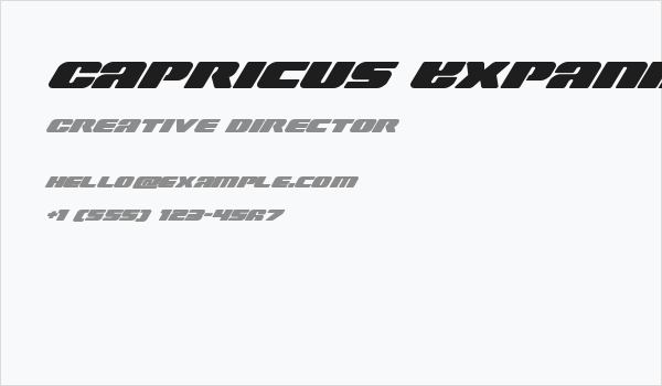 Capricus Expanded Italic Business Card
