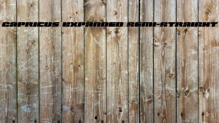 Capricus Expanded Semi-Straight Font examples