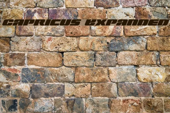 Capricus Expanded Example 3