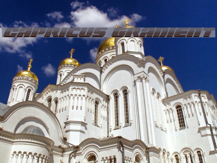 Capricus Gradient Example 2