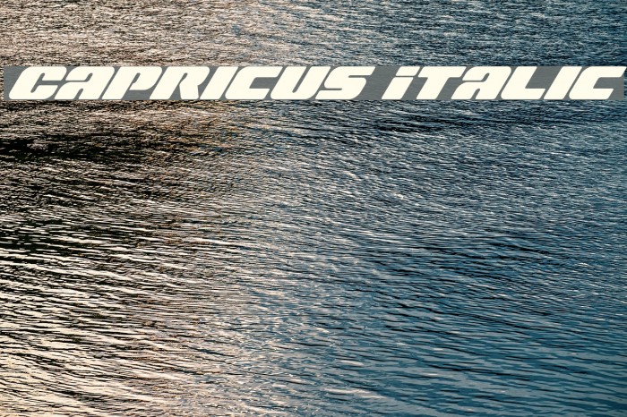 Capricus Italic Font examples
