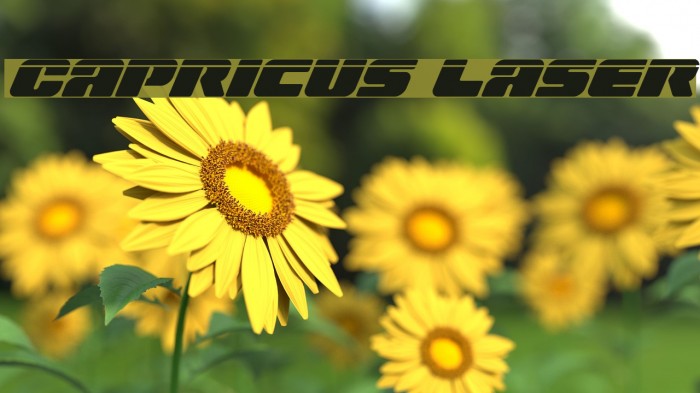 Capricus Laser Font examples