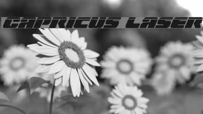 Capricus Laser Font examples