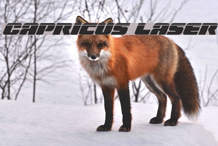 Capricus Laser Font examples